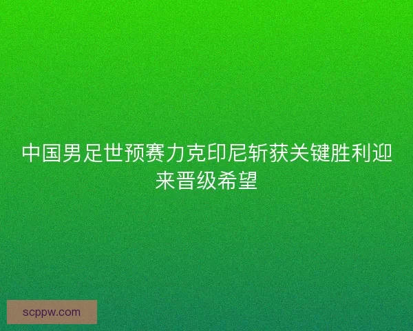 中国男足世预赛力克印尼斩获关键胜利迎来晋级希望